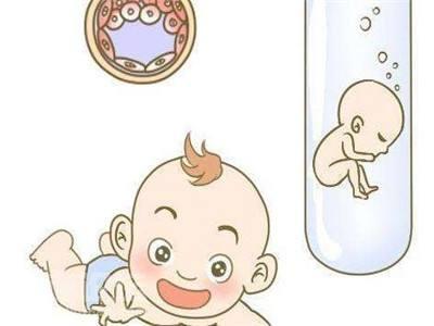 关于素竹生殖